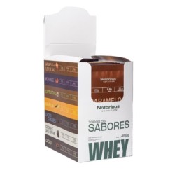 SACHE WHEY TODOS OS SABORES BOX 30g | 15 UN